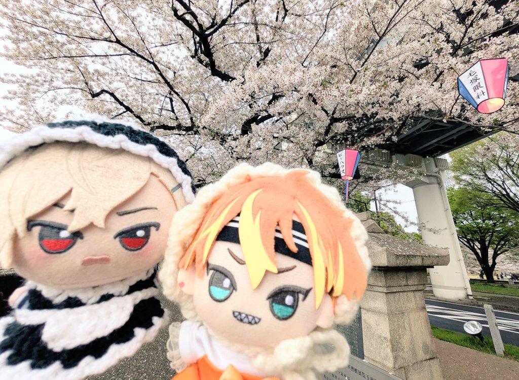 しっとり tweet media