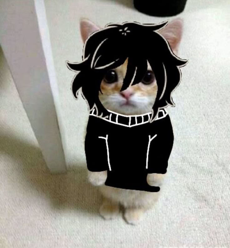 BlackleyBlack's tweet photo. Meow meow motherfucker (The Coffin of Andy and Leyley edition)#TheCoffinOfAndyAndLeyley #TCOAAL #AshleyGraves #Leyley #CoffinOfAndyAndLeyley #GothCat #AnimeCat #CatMemes https://t.co/LuLRzRrArZ