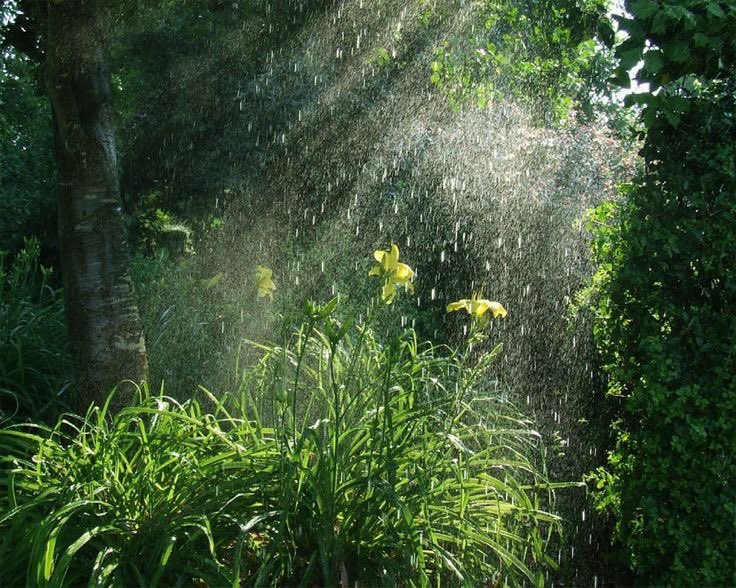 in the language of nature, rain is hope