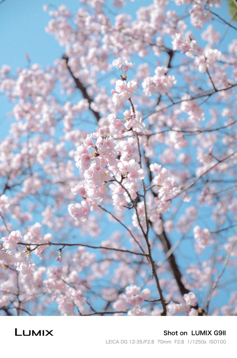 LUMIX JAPAN tweet media