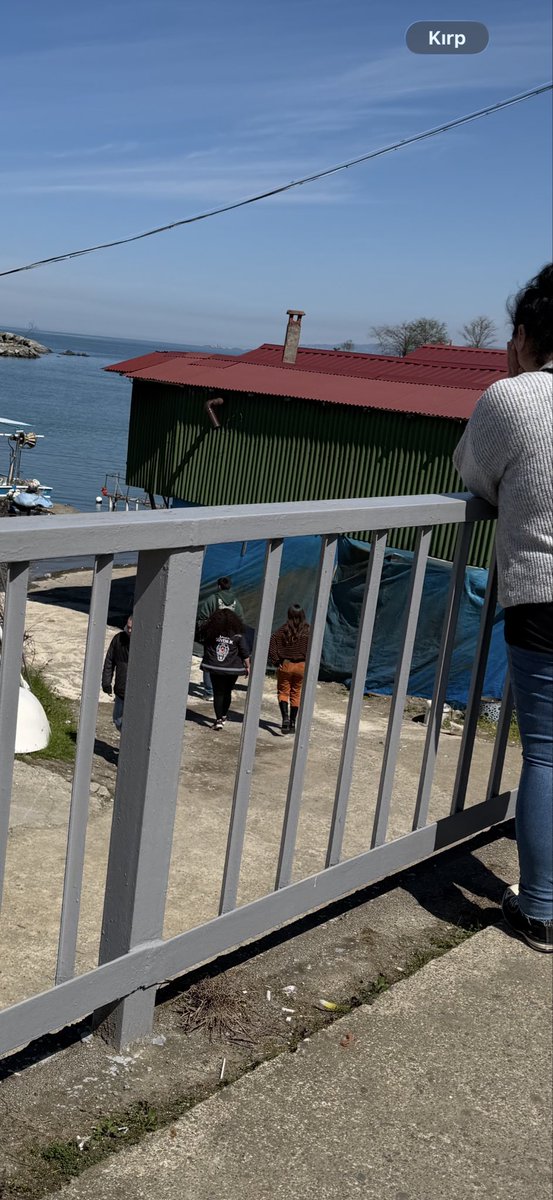 Berfin Rivero Loloy tweet media