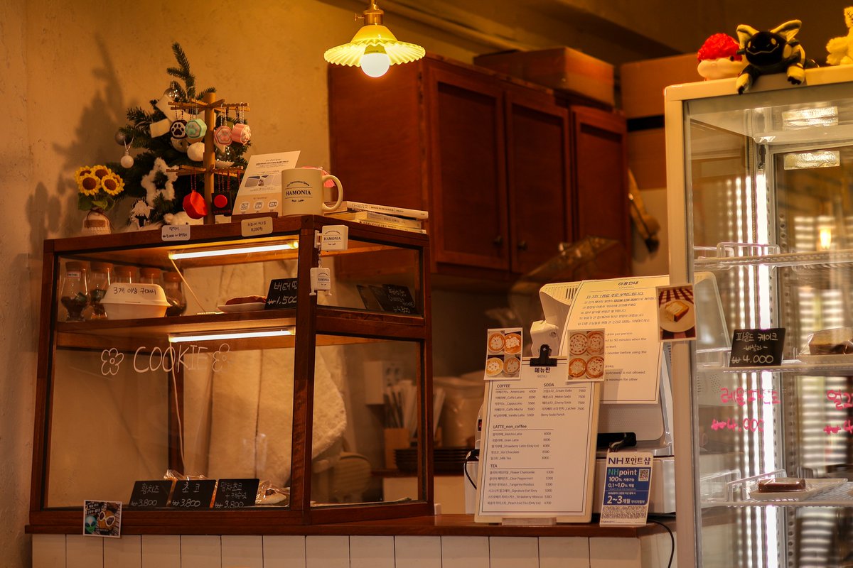 시브/CVC tweet media