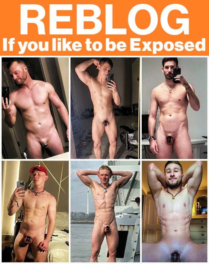 Gay Sub University🍆 tweet media