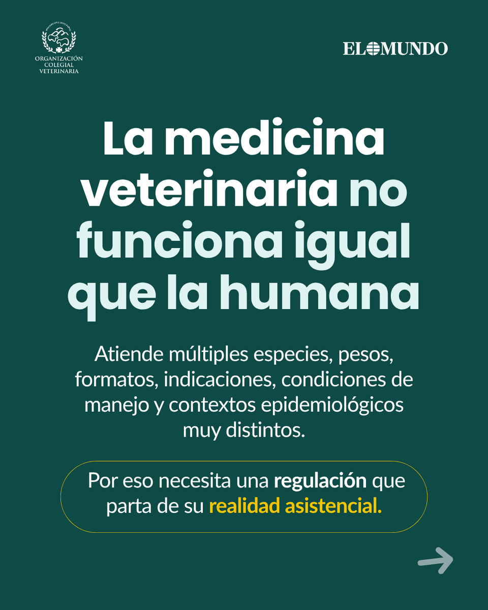 OCV España tweet media