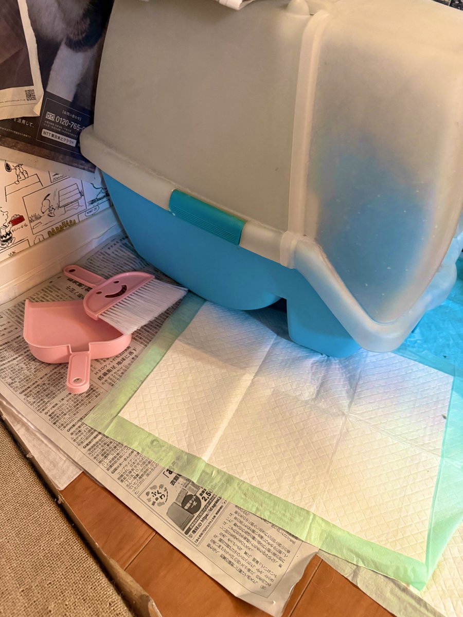 宮本 しゅんま (荒川区議会議員) tweet media