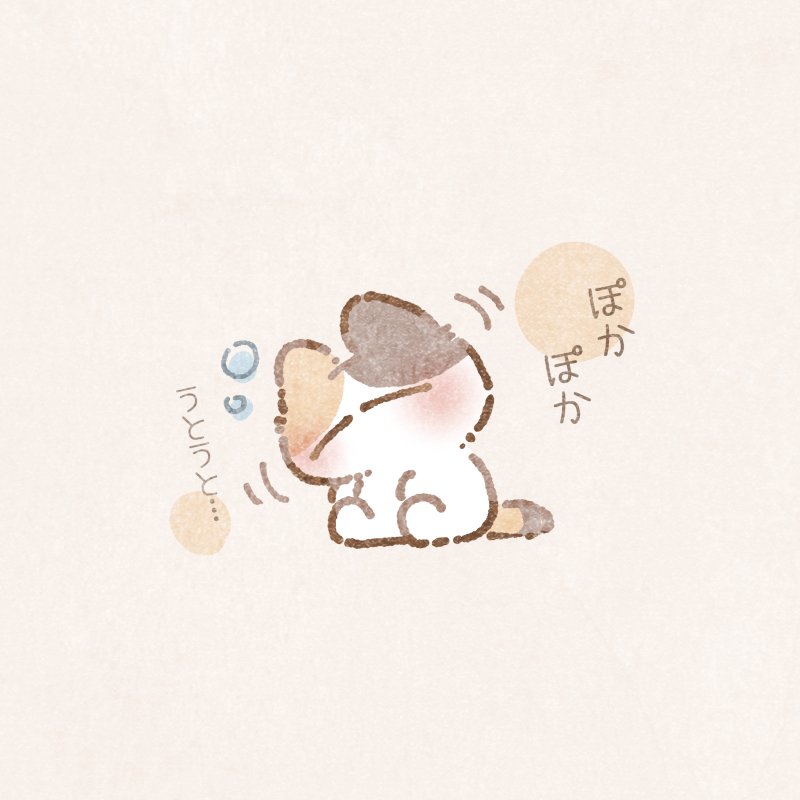 ふにゃ猫 tweet media