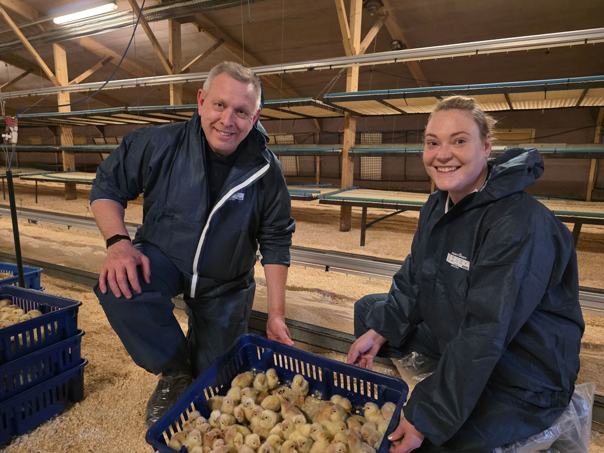 BFREPA's tweet photo. Lohmann Lite EU comes to the UK

Lohmann GB have made the decision to expand their breed offering in the UK with the introduction of the Lohmann LSL Lite EU.

https://t.co/EIutVGq5Ke https://t.co/Ec0DfMS2X0