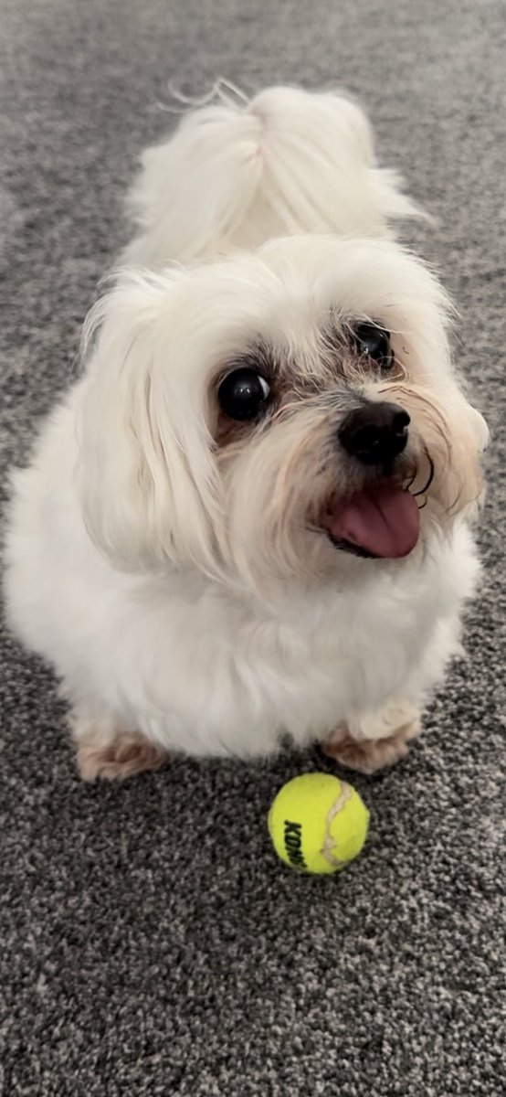 Holly🌈 tweet media