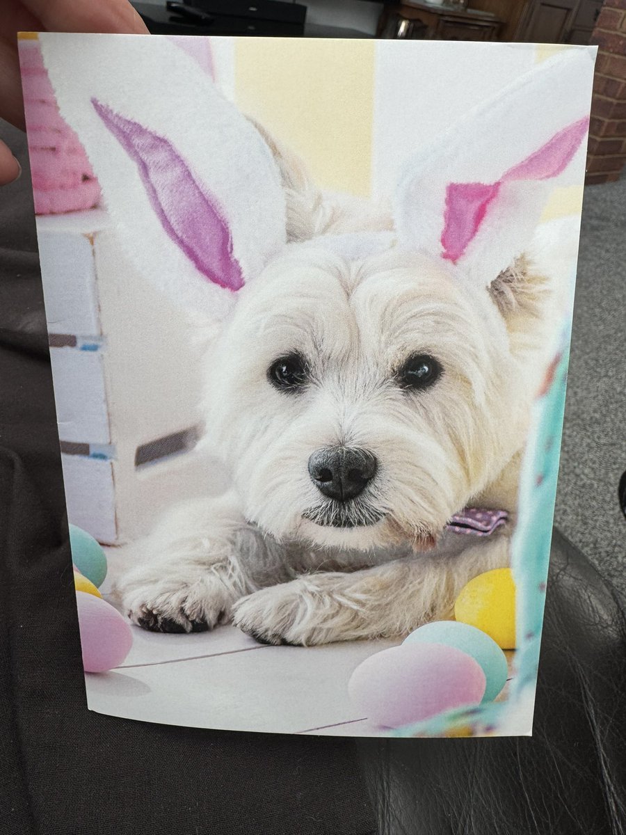 Holly🌈 tweet media