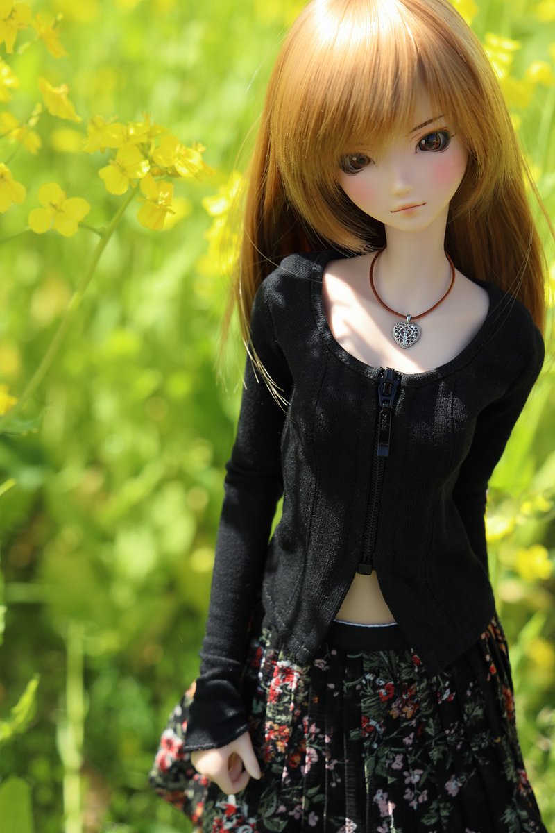 maruko_halu tweet media
