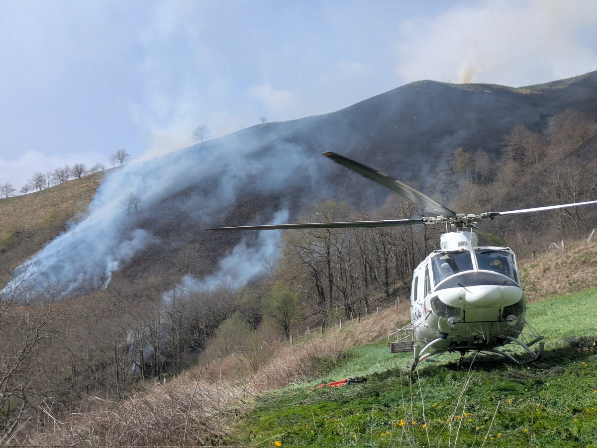 BRIF TABUYO tweet media