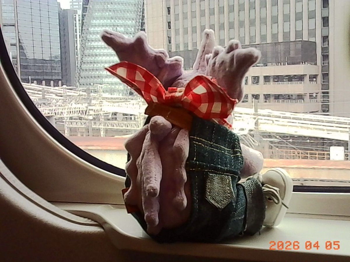 かどのさき tweet media