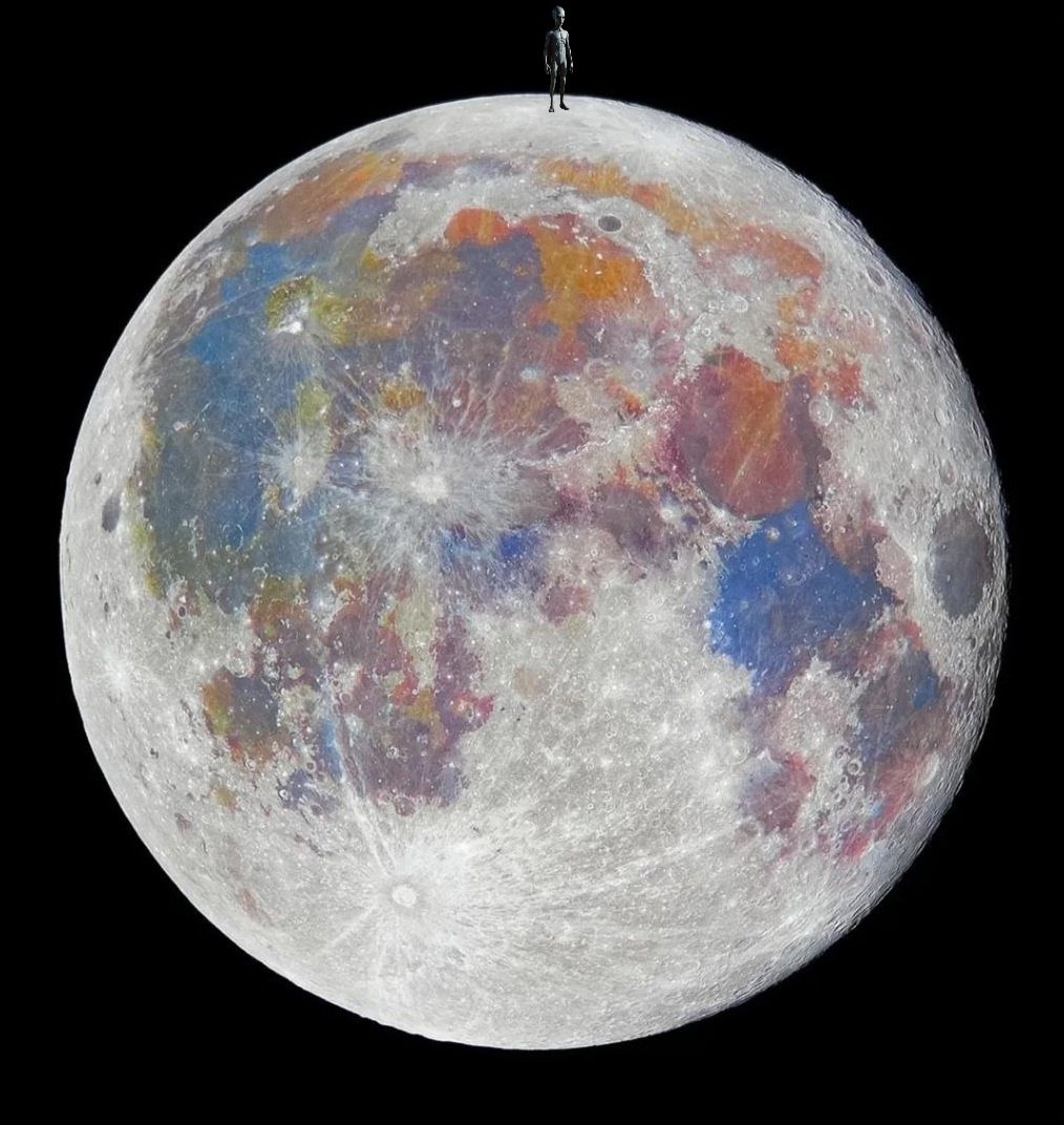 Cláudia Valente tweet media