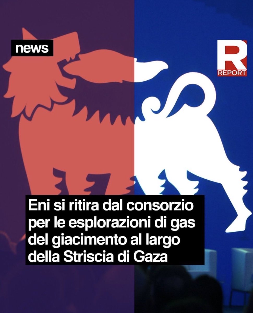 lisameyer🏥🌈⚡️ tweet media