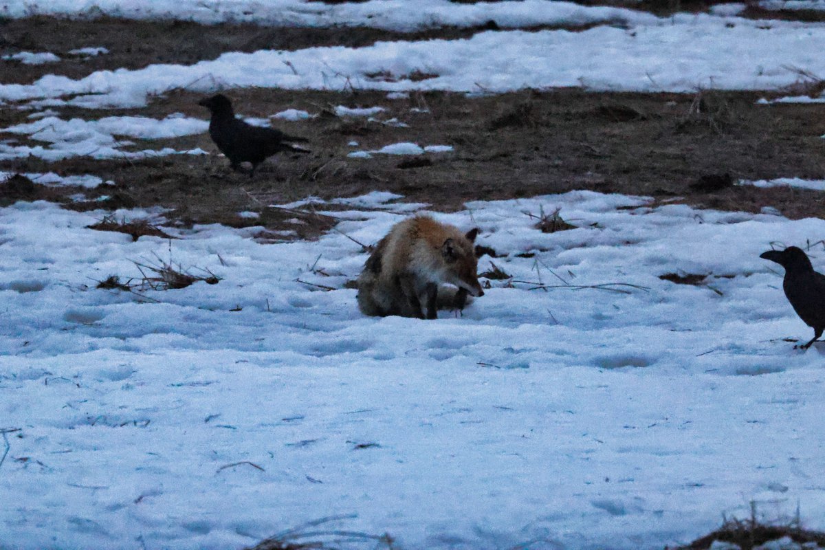 温根湯温泉の人♨️ tweet media