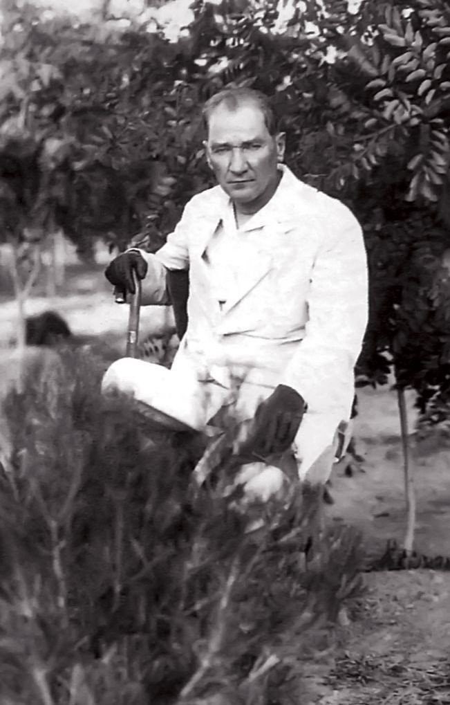 İstiklal Kadınları Hareketi tweet media