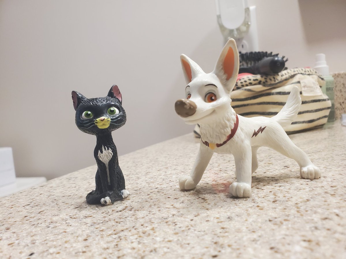 Sahara 🐾 tweet media