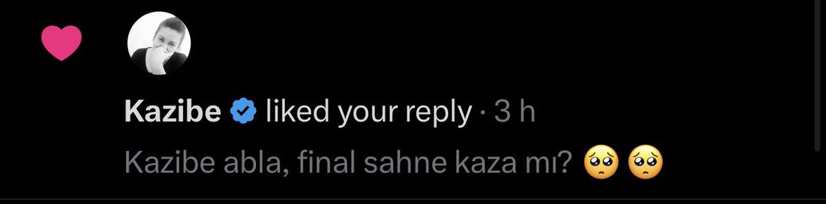 Gab 🇹🇷 tweet media