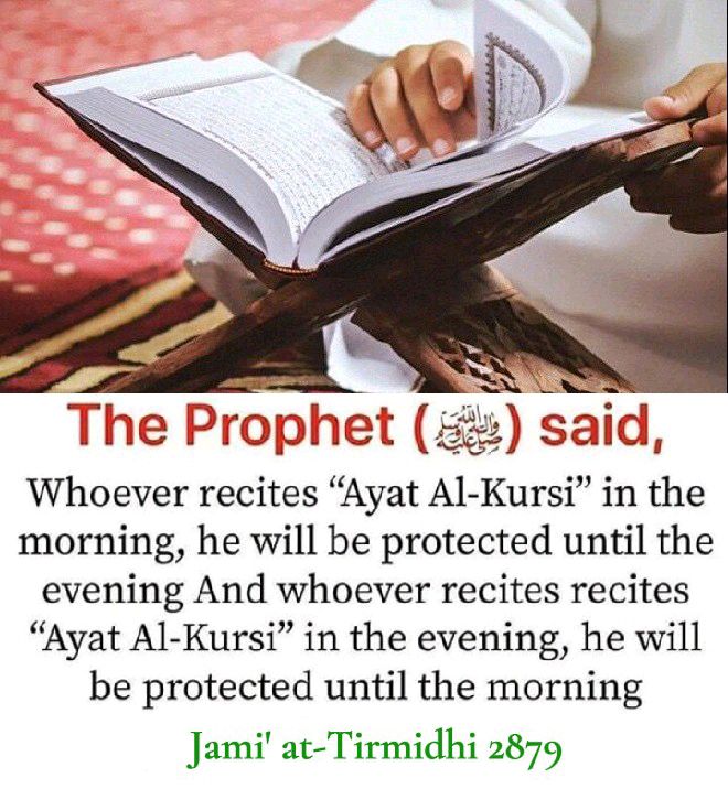 Daily Reminders. tweet media