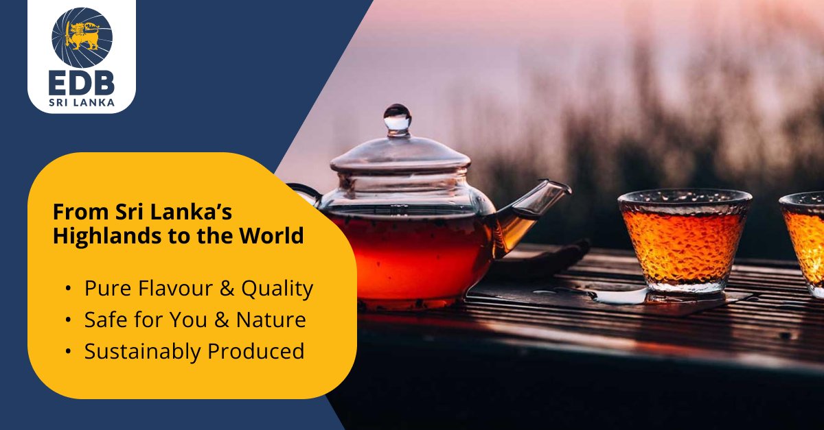 EDB_SriLanka's tweet photo. From Sri Lanka’s Highlands to the World https://t.co/TDRTq1gBjk🌄🌎
Organic Ceylon Tea offers pure flavour, chemical-free goodness, and sustainable cultivation—delivering quality you can trust in every cup🍵✨
#CeylonTea #SriLankaTea #PureFlavour #SustainablyProduced https://t.co/1UAb6rvJPU