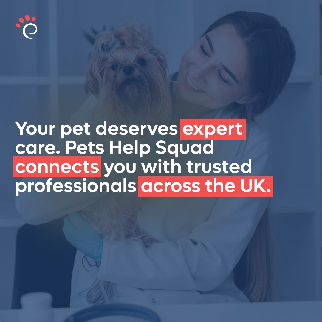 Petsinsync's tweet photo. Your pet deserves expert care. Pets Help Squad connects you with trusted professionals across the UK. 

#PetCareUK #TrustedServices #PetsHelpSquad #PetOwners https://t.co/emSwHgD2Qm