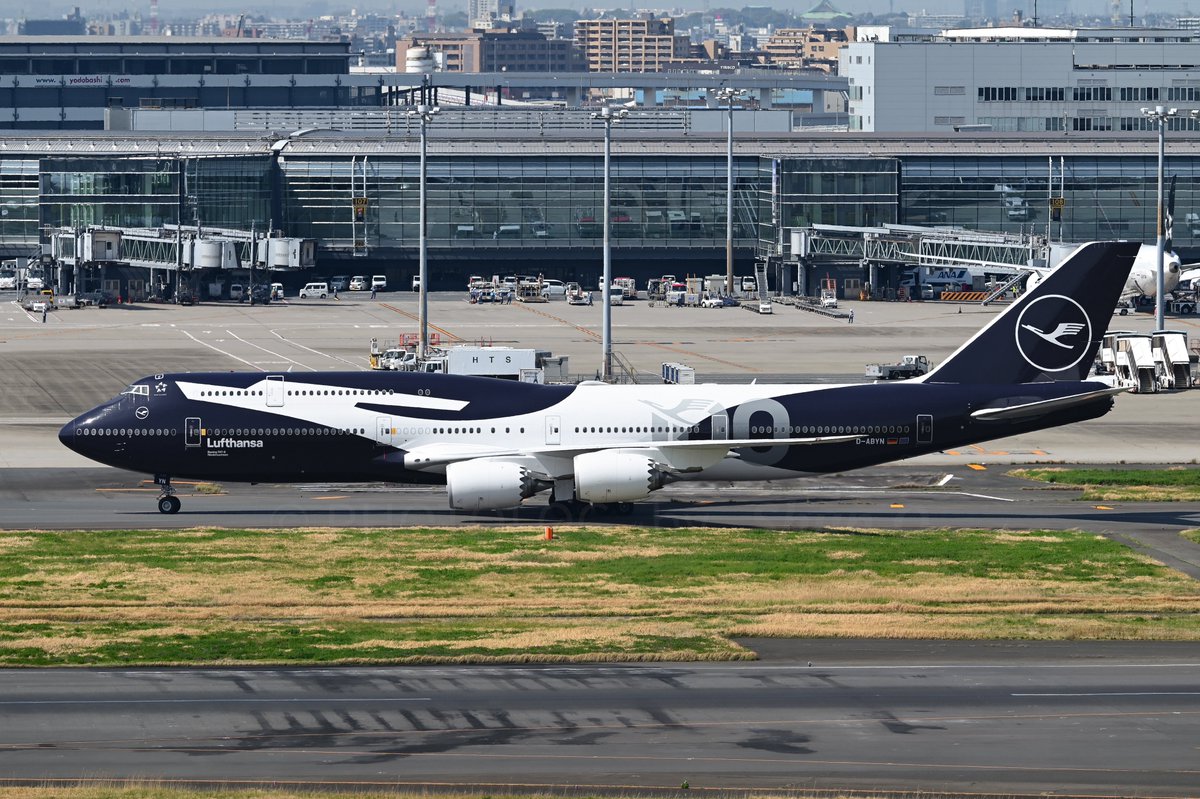 A19N_Shun's tweet image. 先行機バードストライクにより1度G/Aした昨日のルフト。

2026.04.06 / RJTT
DLH716~717 / D-ABYN