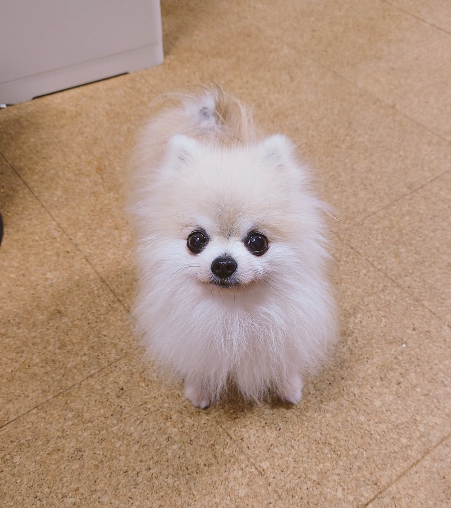 comatema tweet media