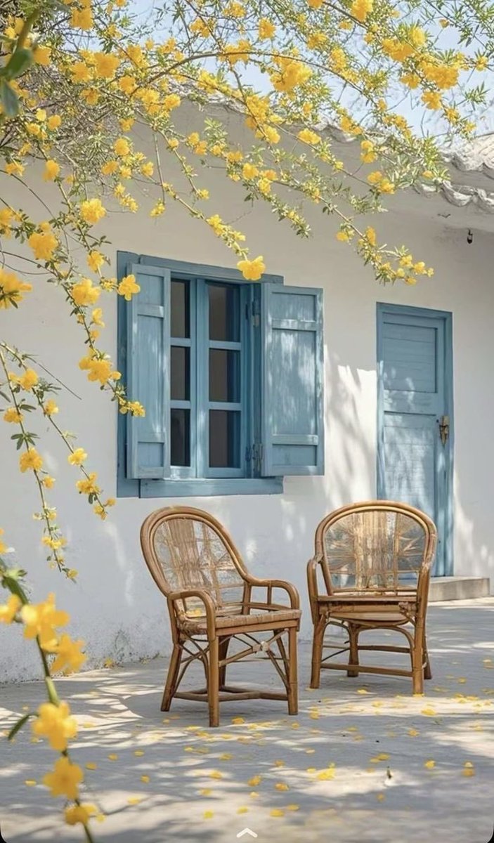 حـنـان عـبـدالـلـه🕊♥️. tweet media