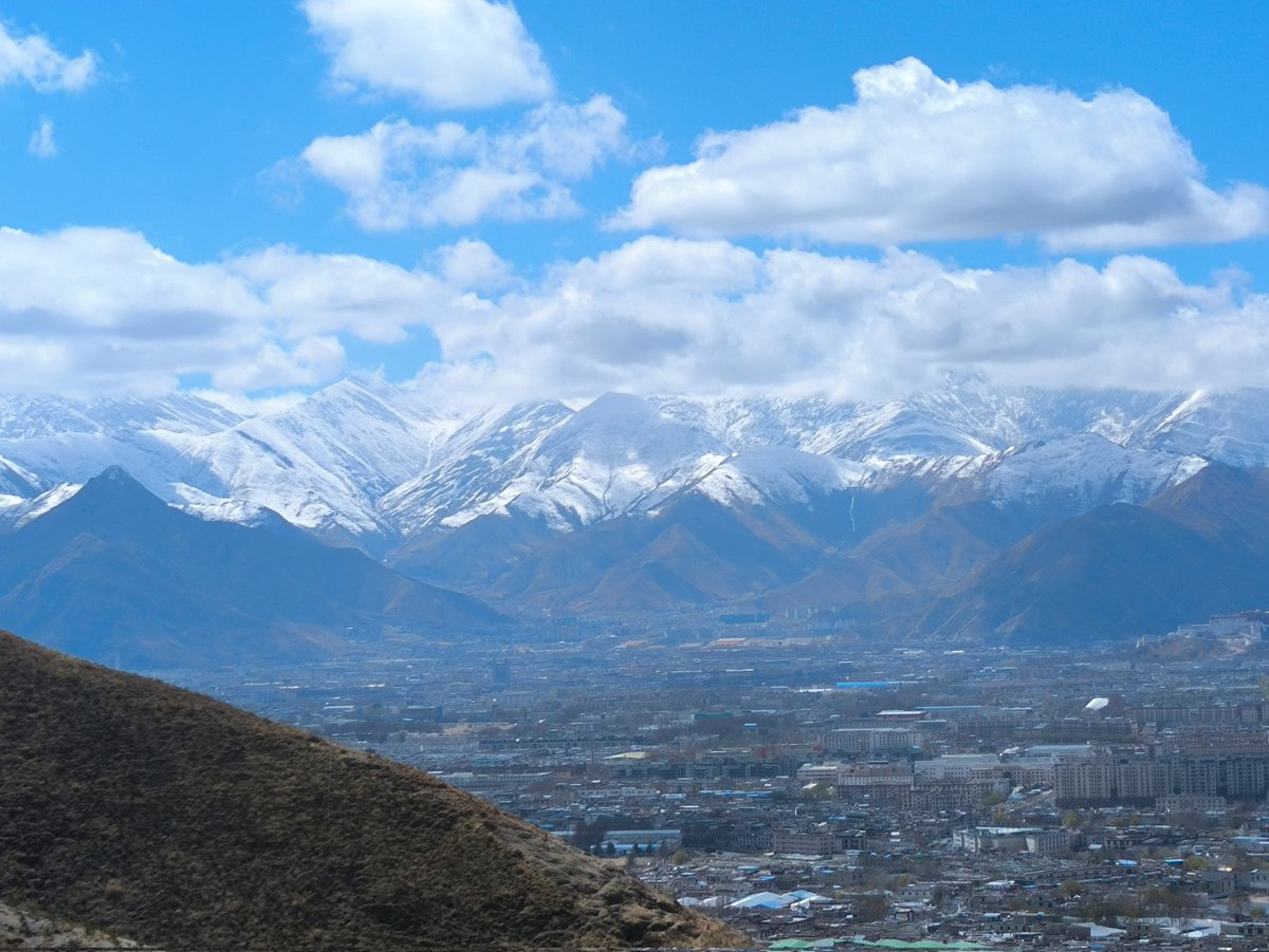 漠然 （互fo） tweet media