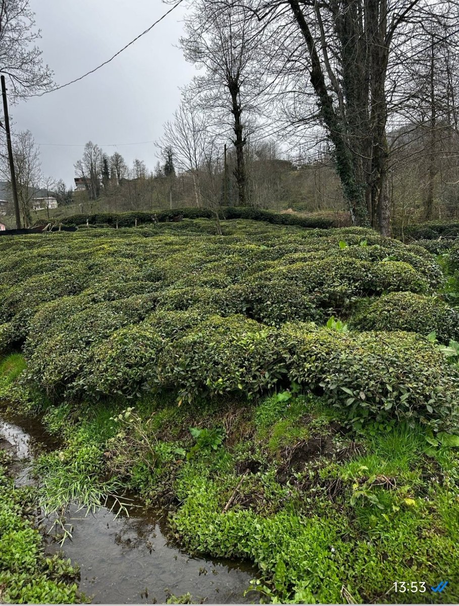 Çölleşme ve Erozyonla Mücadele Genel Müdürlüğü tweet media