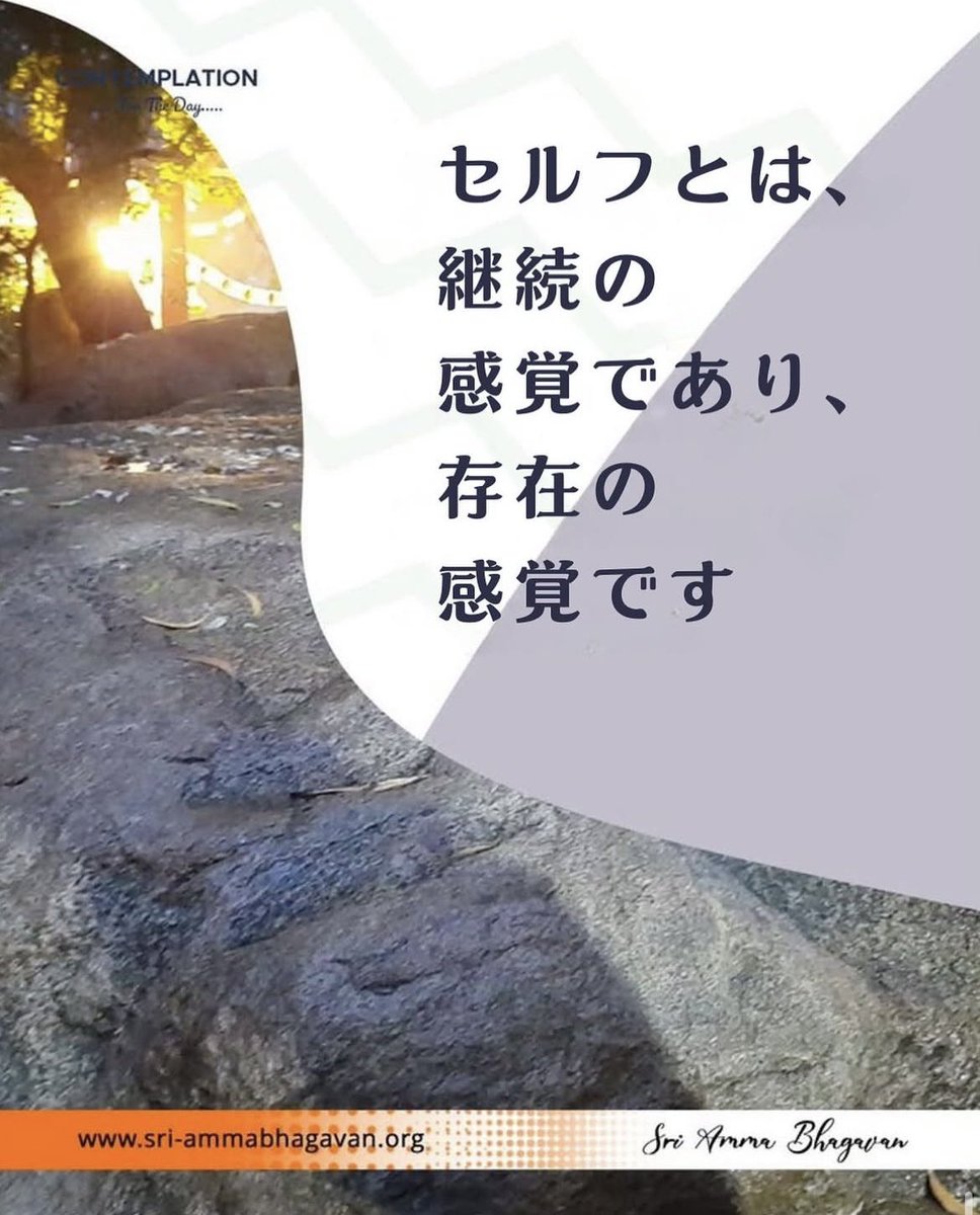 GOLDEN AGE MOVEMENT JAPAN tweet media