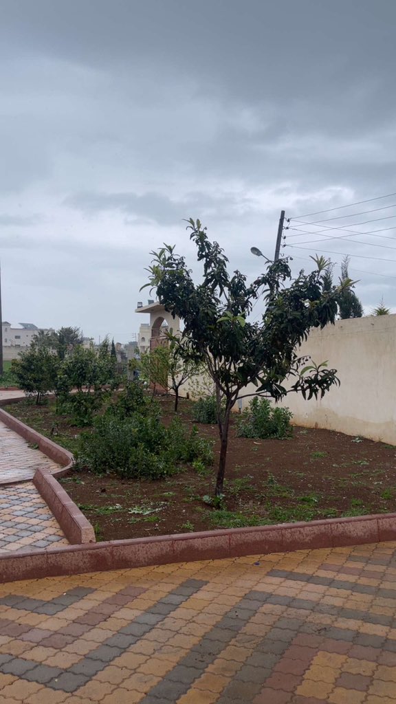 الماغيرو 🇸🇾 tweet media