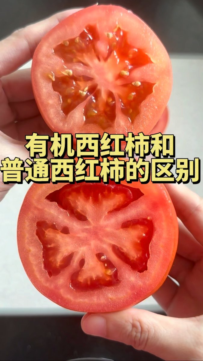 Nagendr13245402's tweet photo. Taste Test: Juicy Organic Cherry Tomatoes vs. Regular Ones!  Organic = sweeter, plumper, zero bitter aftertaste. Regular = slightly tart, thinner skin. Perfect for salads—organic wins for raw eats! #FoodReview #OrganicEats https://t.co/W4C9WBiB3g