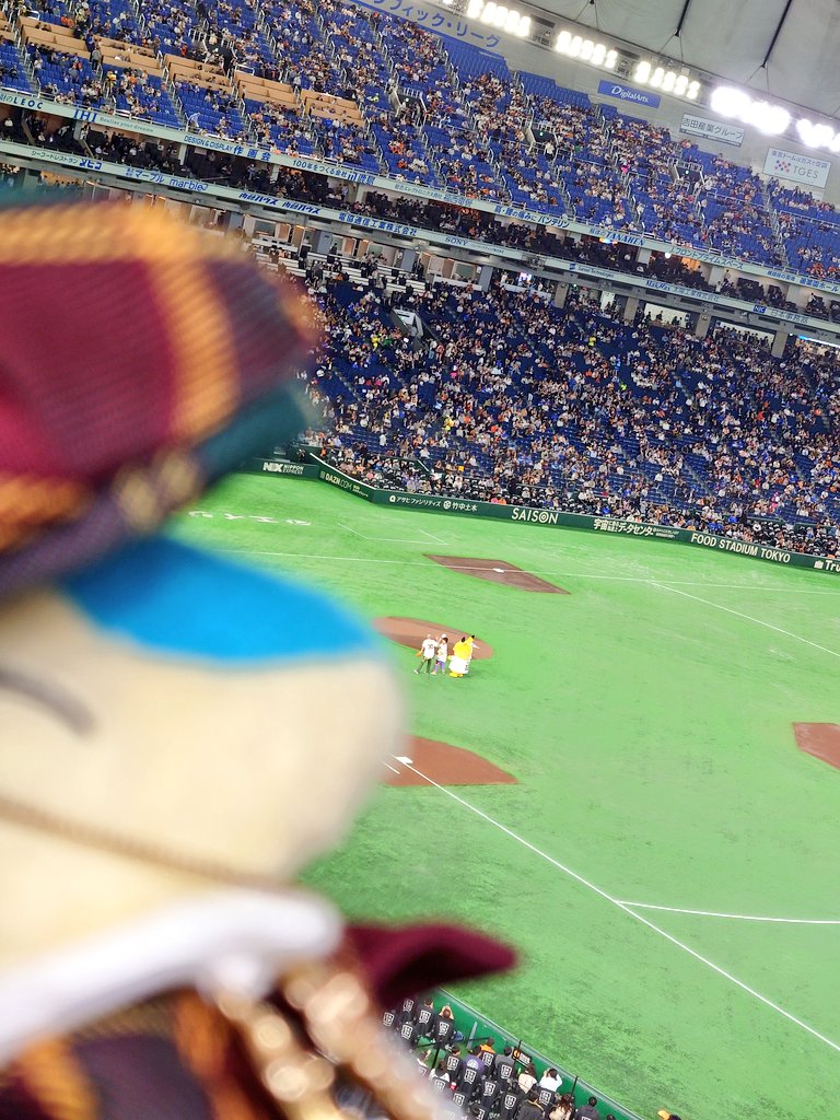 あこがれのあばれる君さんと写真を撮れたヒノアラシ

#ヒノアラシとおでかけ