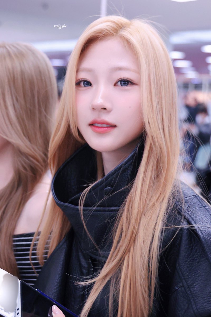 STELLARY Night tweet media