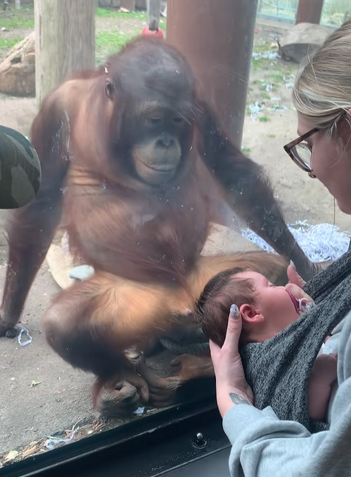 teddyquant tweet media