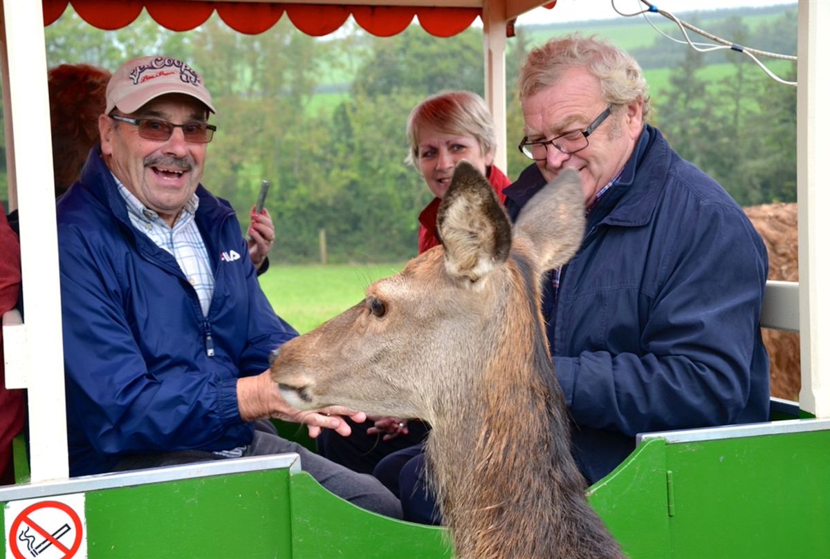 Visit Budleigh Salterton tweet media