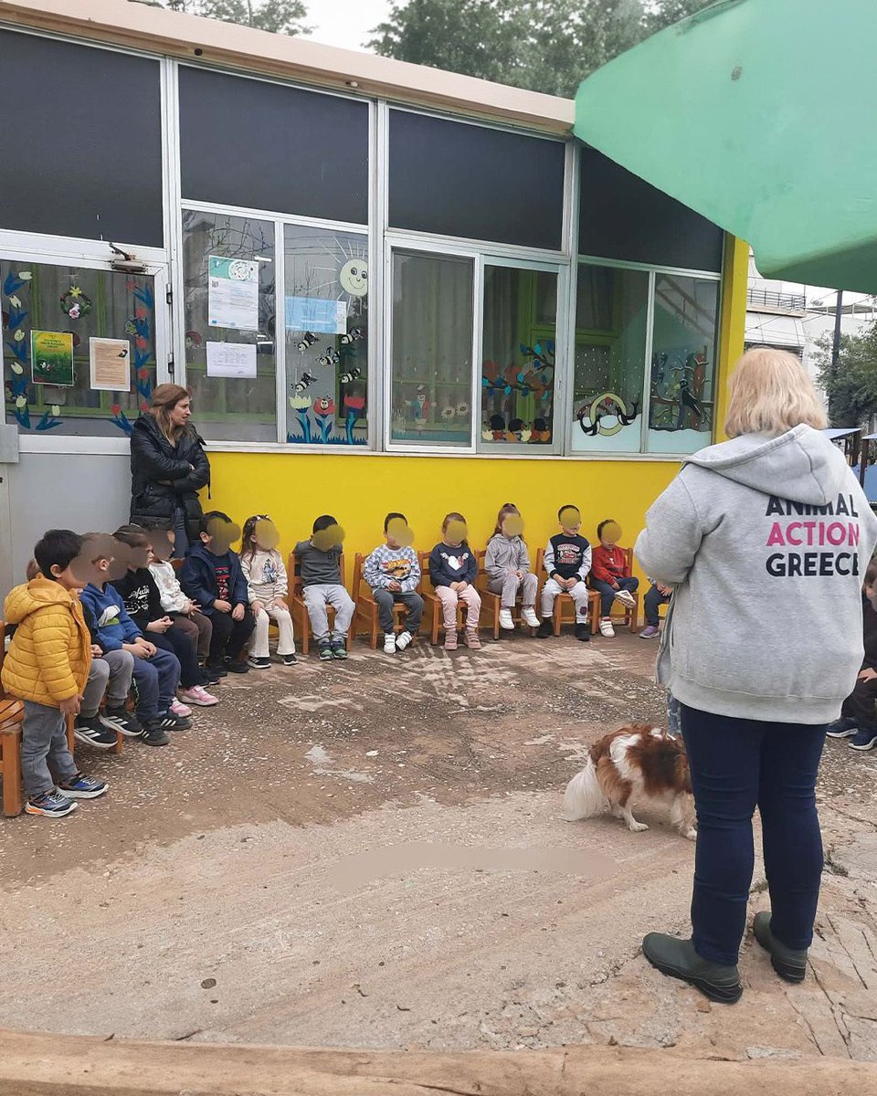 Animal Action Greece tweet media