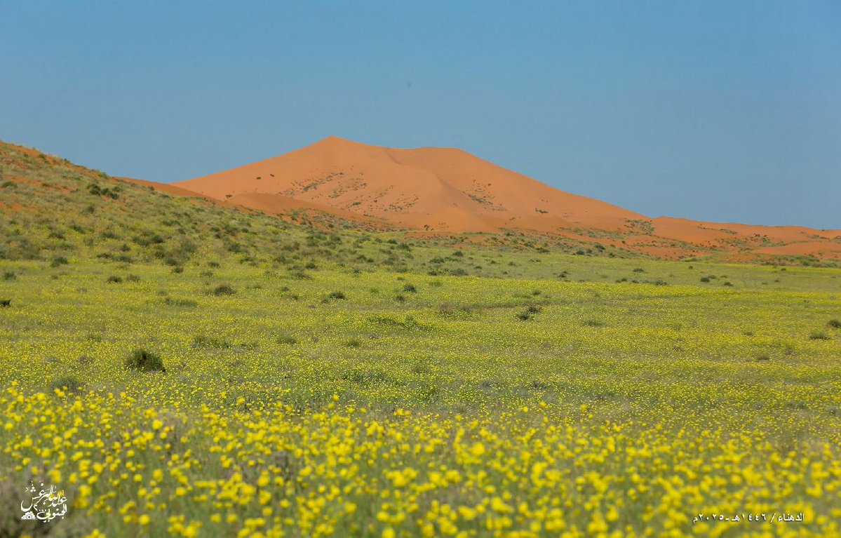 صحافي ، إبراهيم بن عبدالله العويدي tweet media