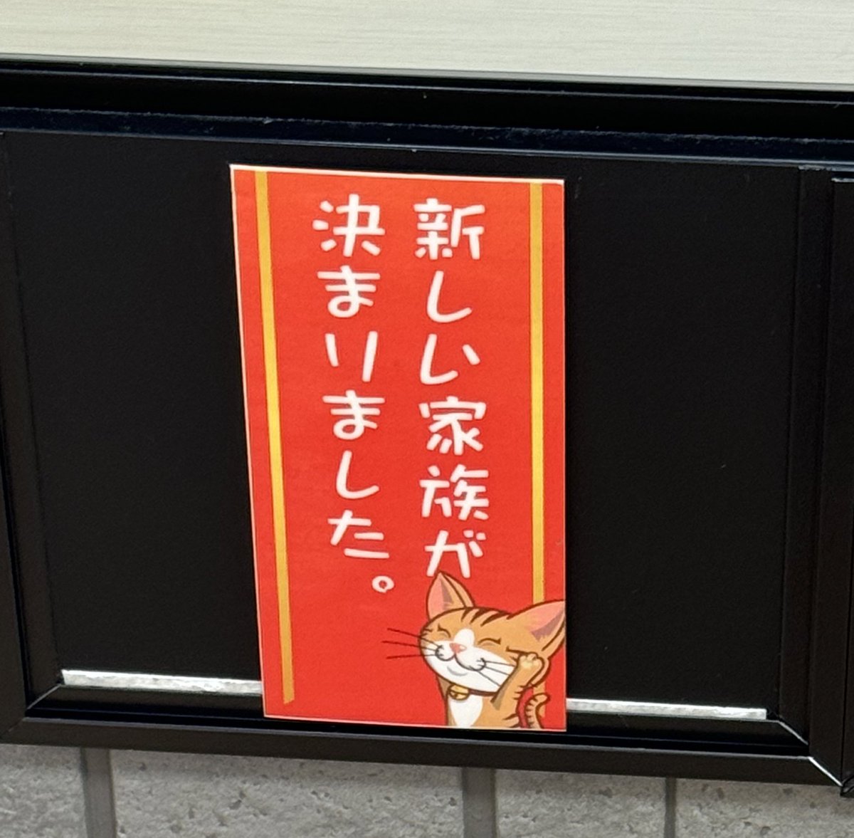 毒ピ(カチュウ) tweet media