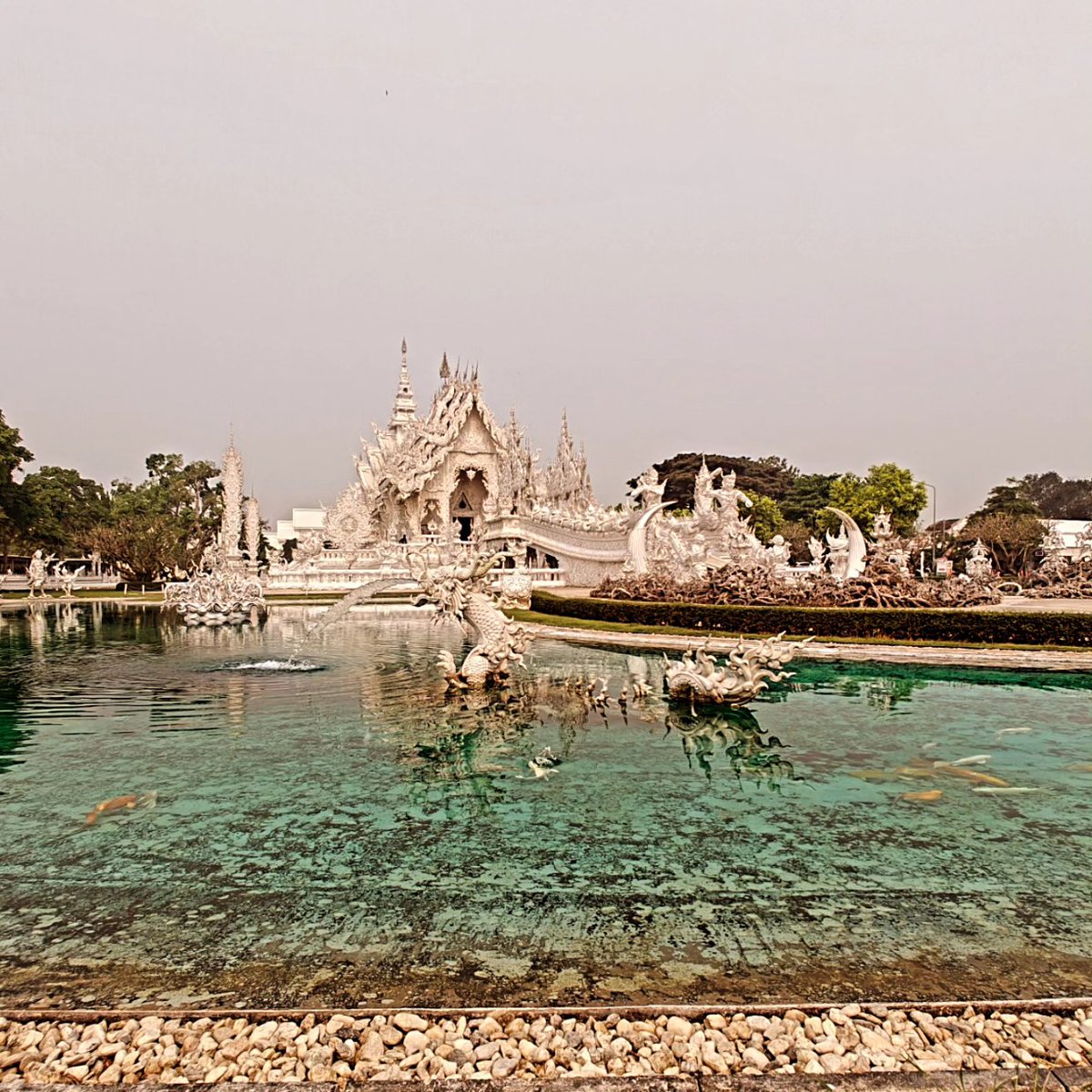 Dondraper tweet media