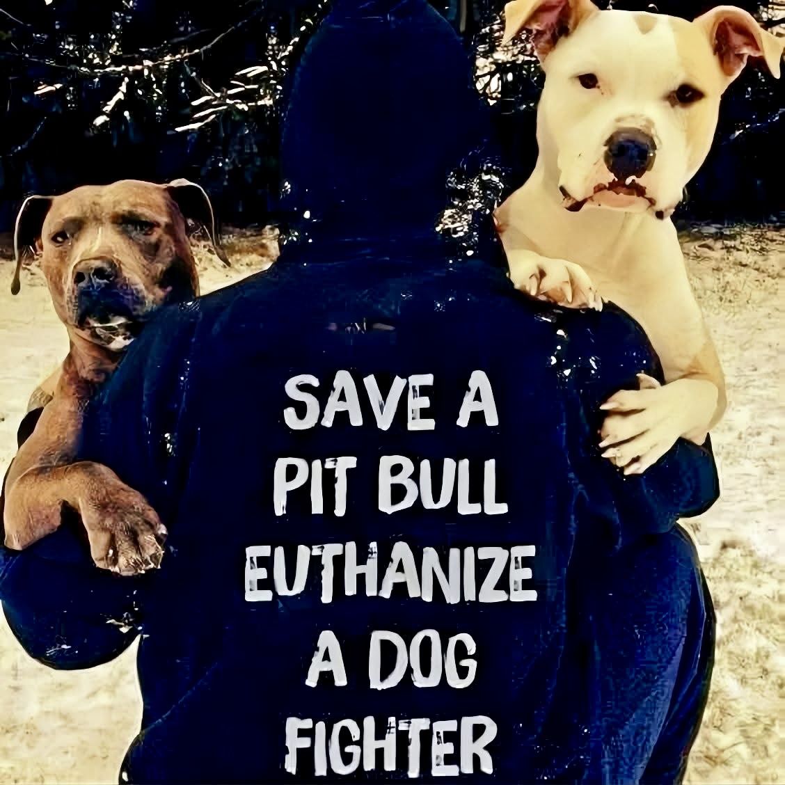 𝕏 Dogs tweet media