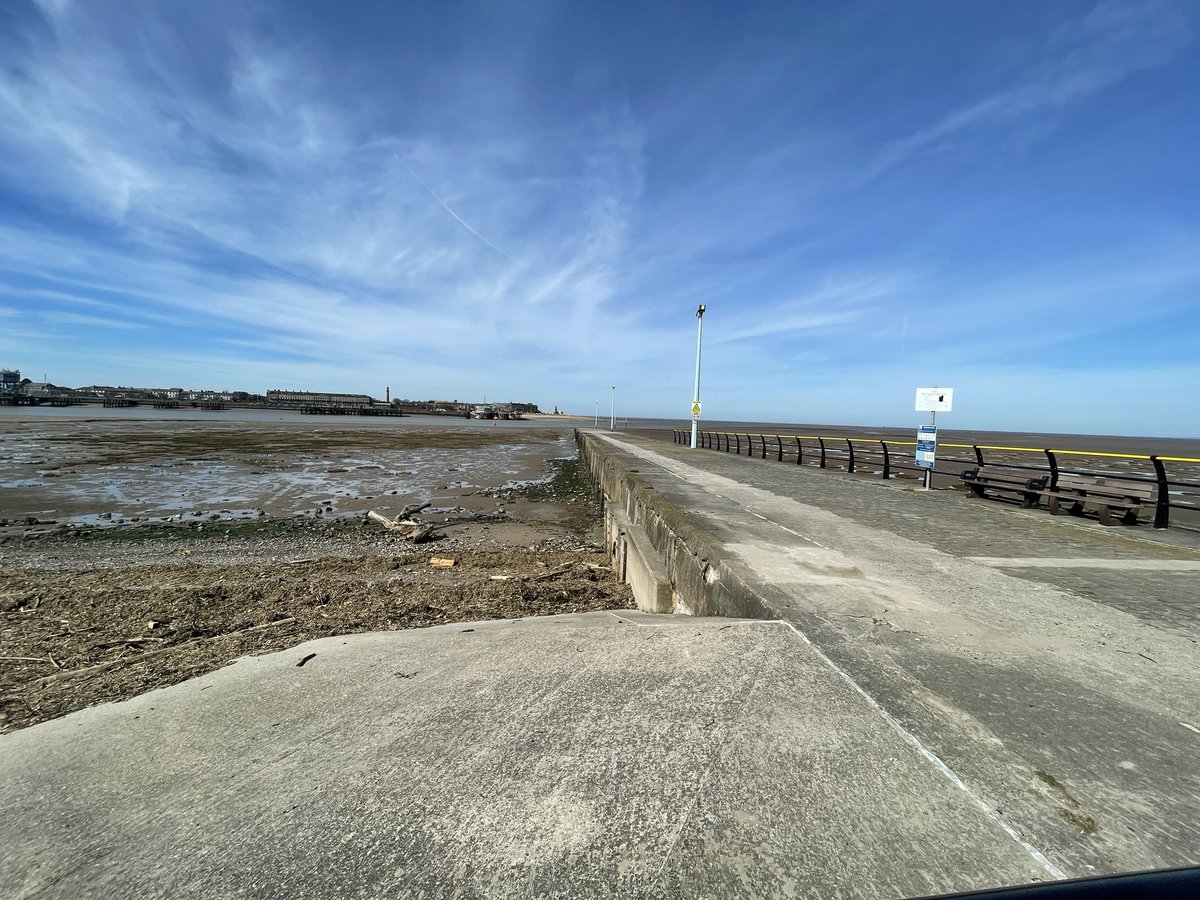 𝙎𝙝𝙚𝙚𝙥𝙞𝙤 🕊️ tweet media