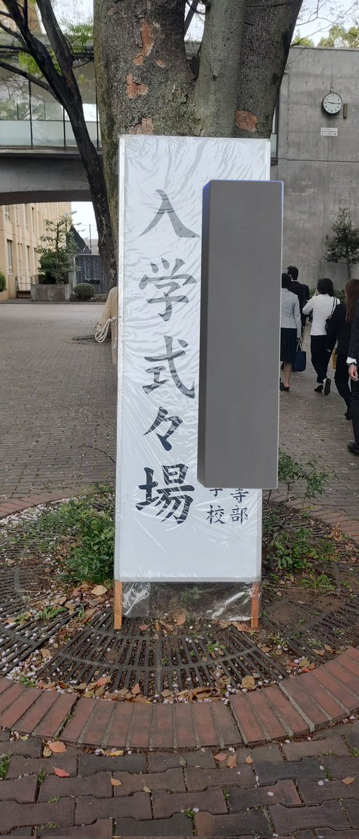 🧢たぼえみ™® 🐿No.114💋 tweet media