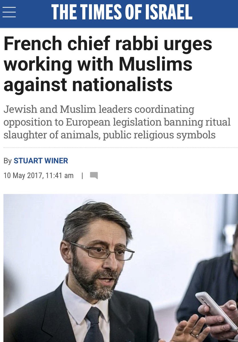 Phairy Megan tweet media