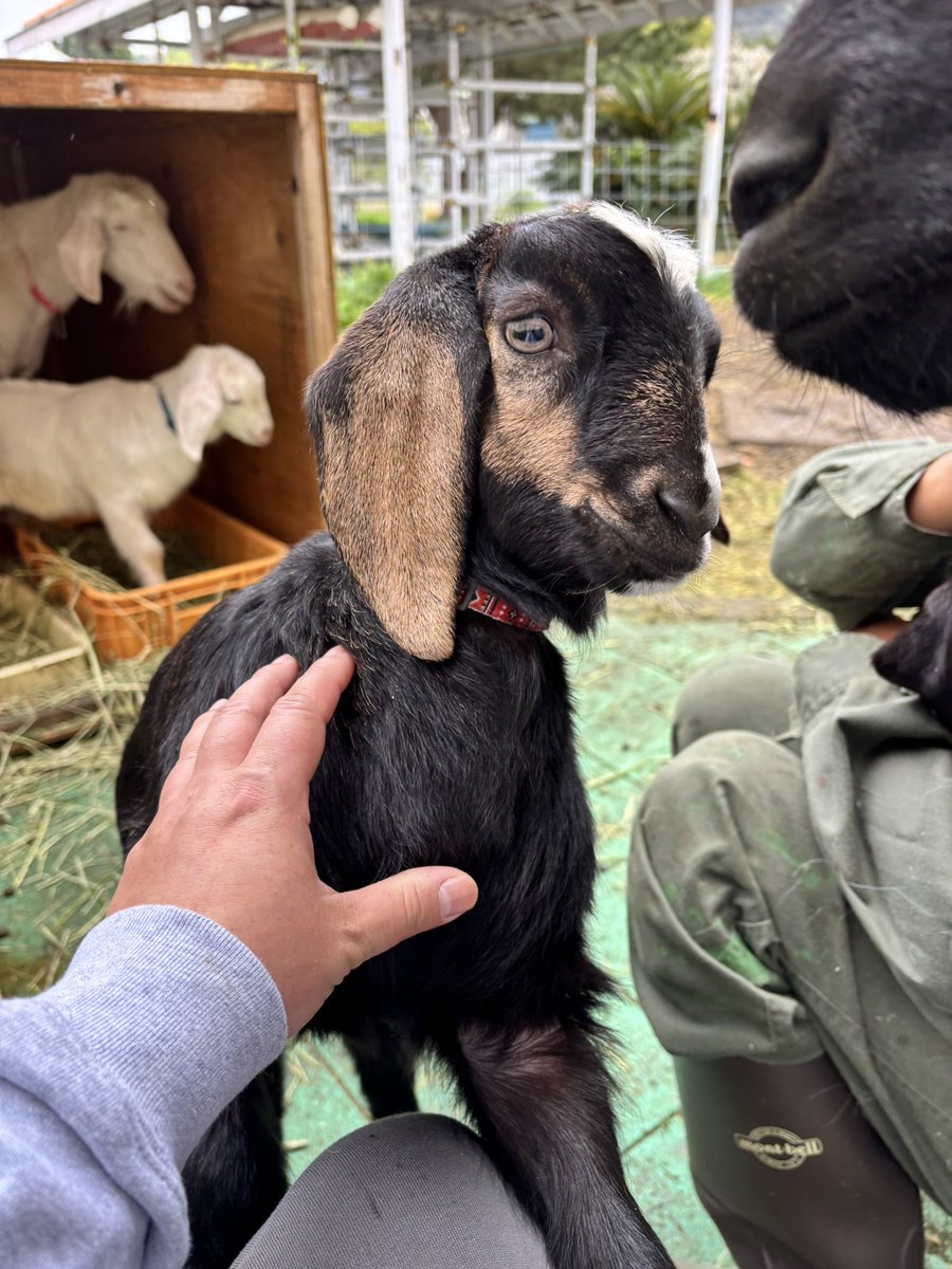 エリック🌺ゆるニート大家 tweet media