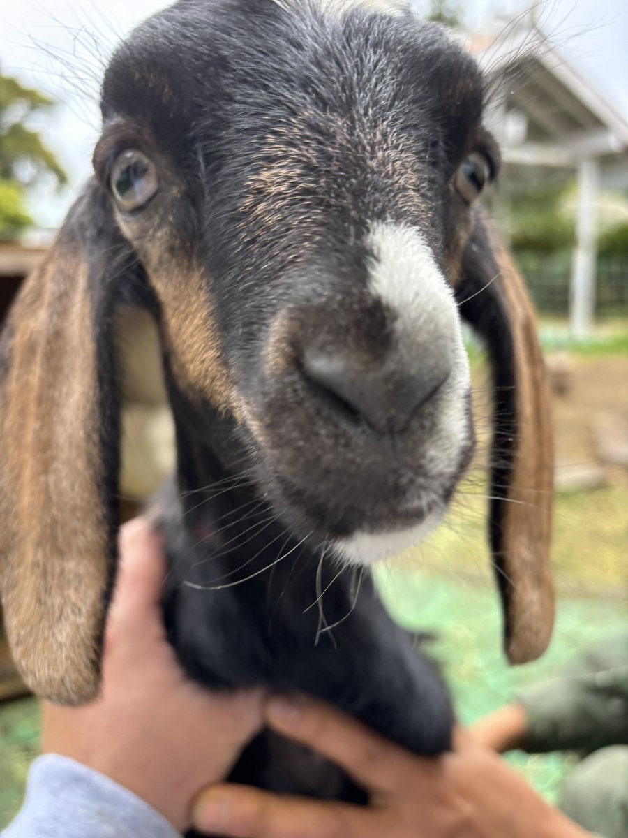 エリック🌺ゆるニート大家 tweet media