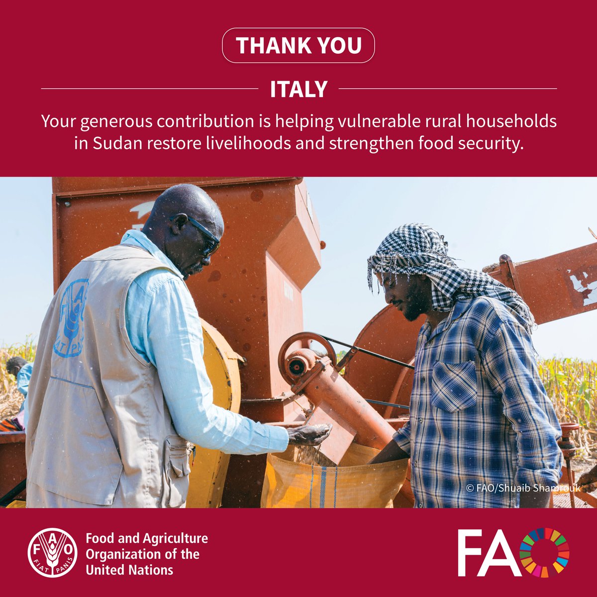 FAO in Emergencies tweet media