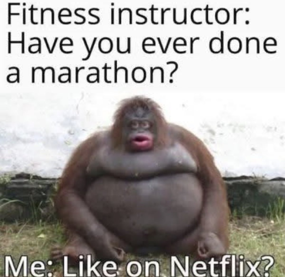 Prairie Putz tweet media