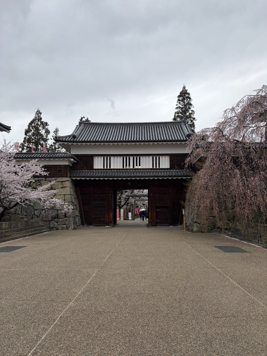 しろくろ tweet media